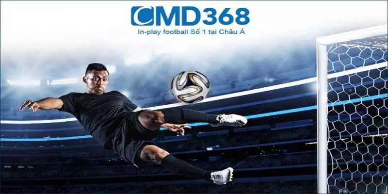 CMD368 sports